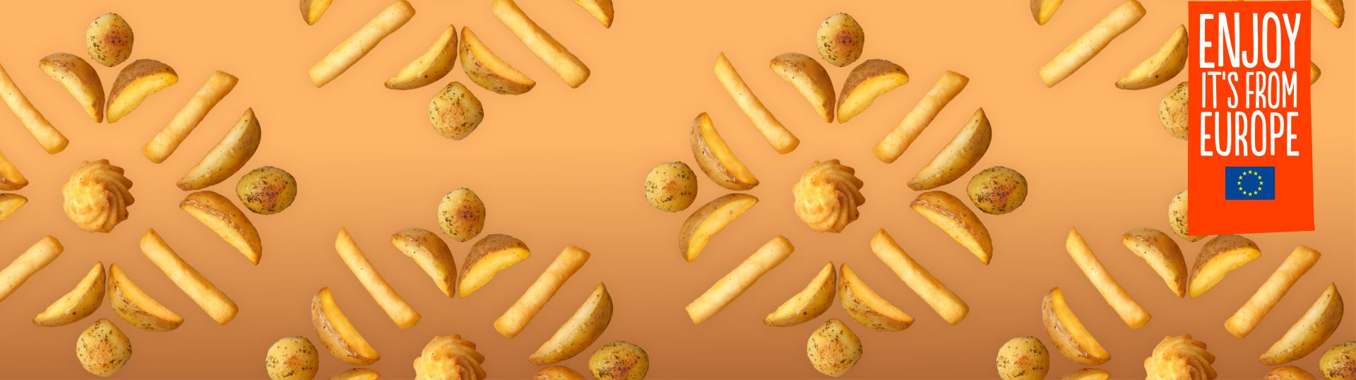 BELGIAN PROCESSED POTATO PRODUCTS BELGIAN PROCESSED POTATO PRODUCTS